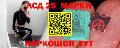 гидропоника Заводоуковск