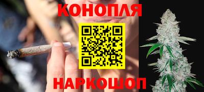гидропоника Заводоуковск