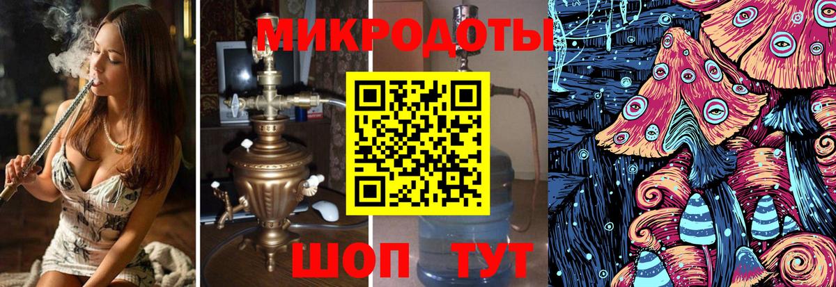 Псилоцибиновые грибы Psilocybine cubensis  Вход с VPN  Малоярославец 