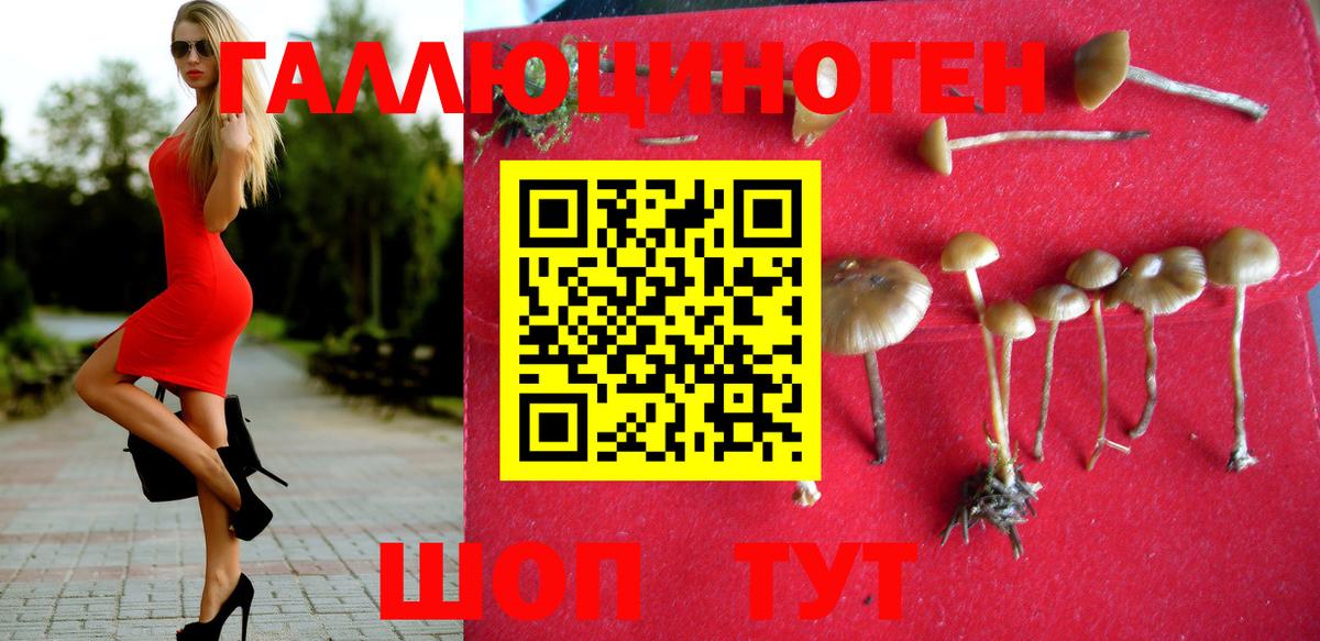 Галлюциногенные грибы GOLDEN TEACHER Малоярославец
